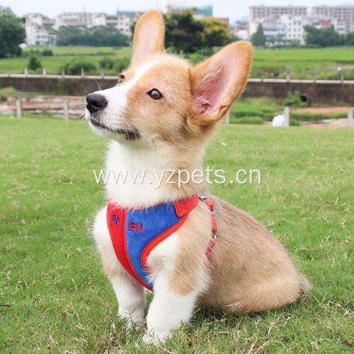 Wholesale Nylon Dog Harness Leash